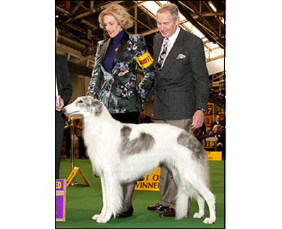 Top AKC NOHS Borzoi 2016